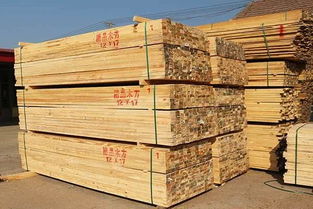 我國木材產(chǎn)品消費量躍居世界前列，市場機遇與挑戰(zhàn)并存