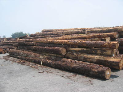 興安惠民網黃頁信息 一站式了解當地各種規格木材銷售渠道與選購指南